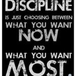 Discipline50